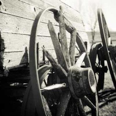 Portrait of Abrar Nhouchi.