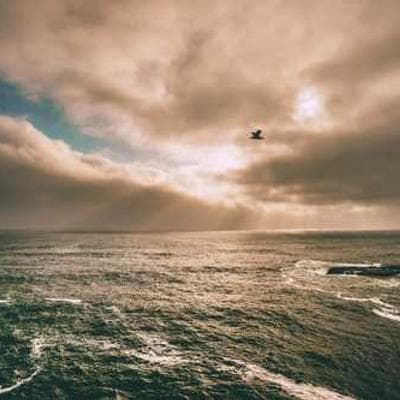 Portrait of Douha Ouerfelli.