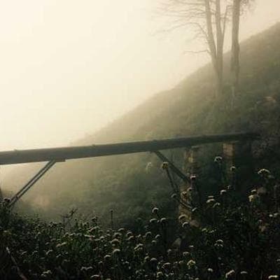 Portrait of Hela Habbessi.