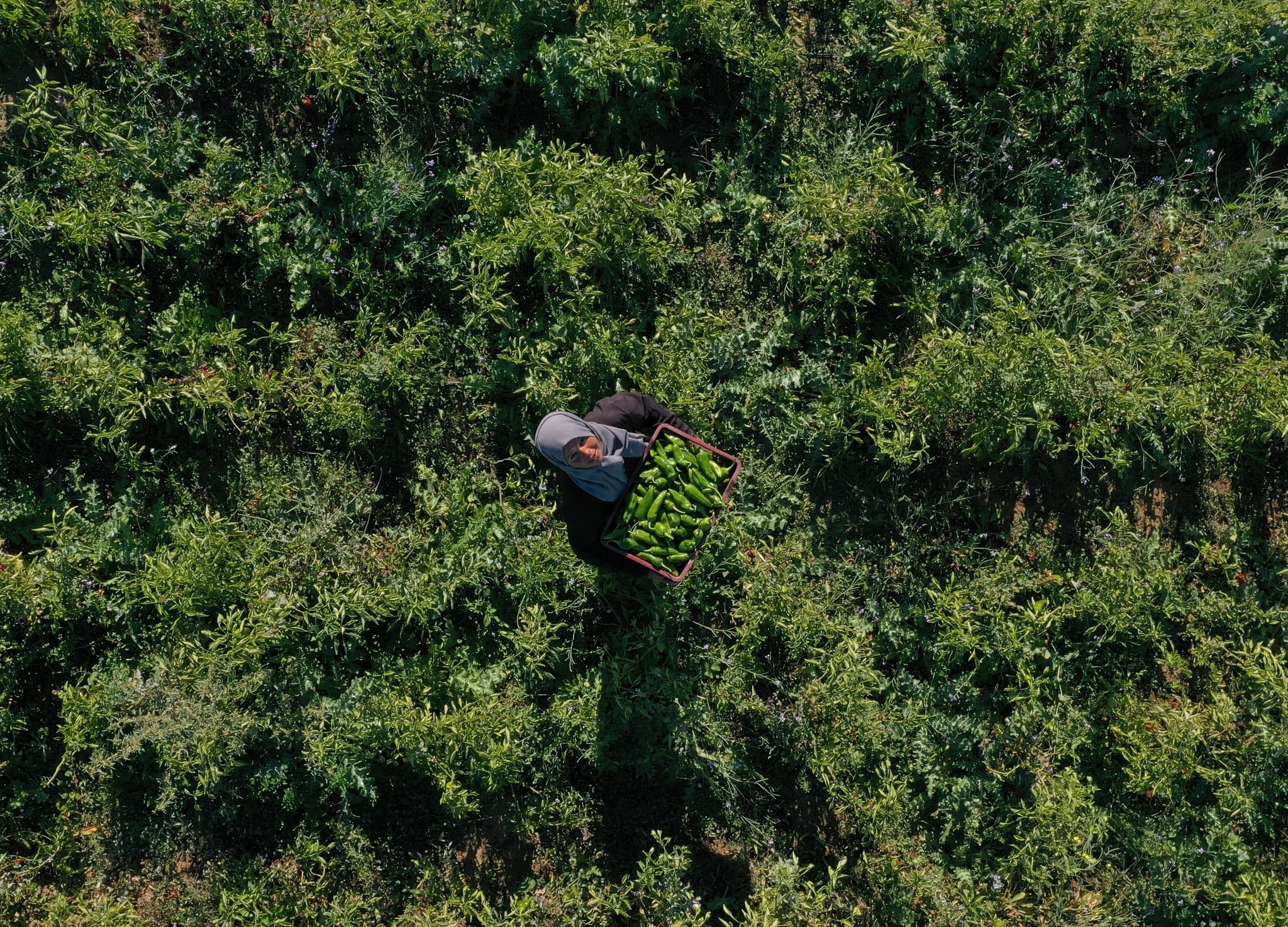 Kid'chen Project Image